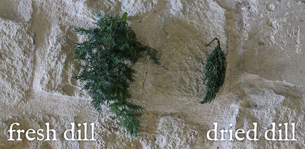 Dried dill, fresh dill