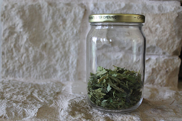 Homemade dried parsley