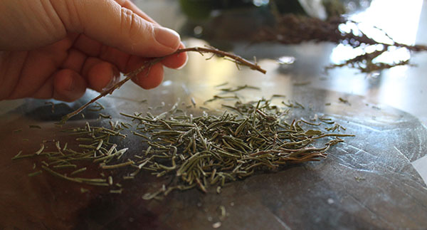 Dried rosemary