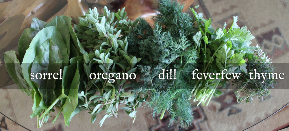 Sorrel, Oregano, Dill, Feverfew, Thyme