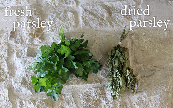 Fresh parsley and dried parsley
